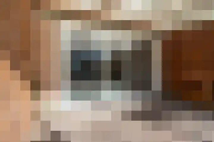 Korbeel 26 Blaricum thumbnail 38