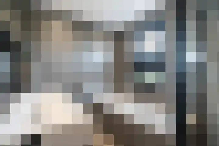 Korbeel 30 Weert thumbnail 29