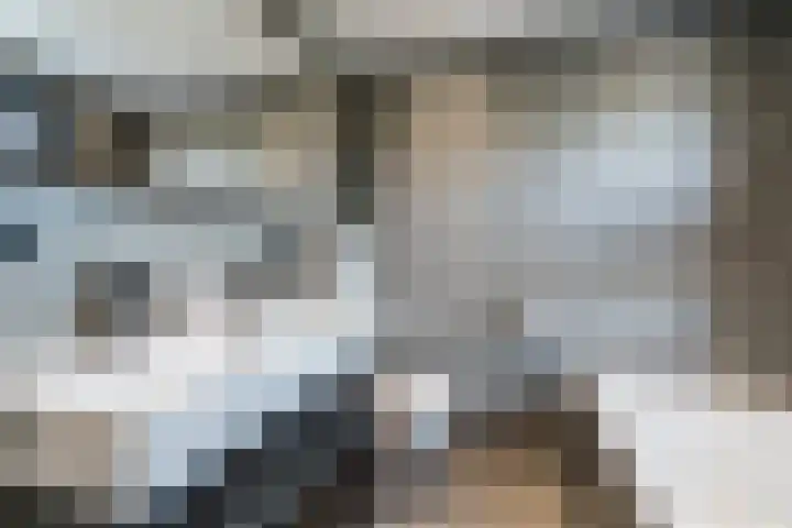 Korbeel 30 Weert thumbnail 30