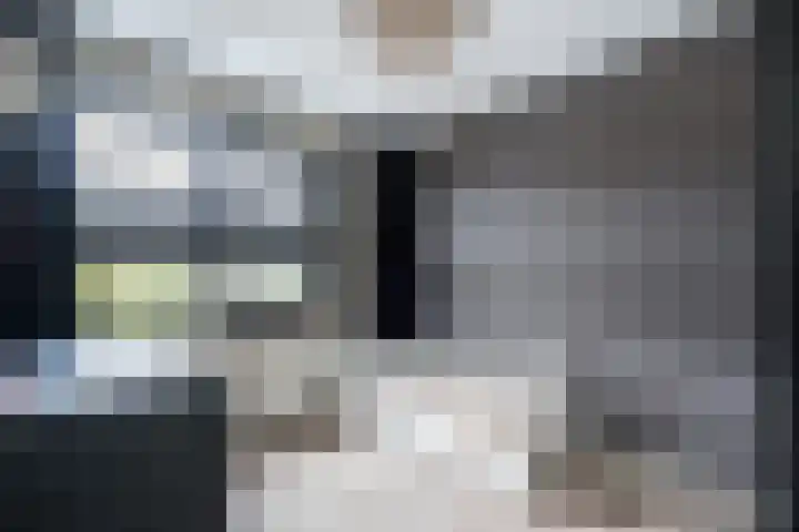 Korbeel 30 Weert thumbnail 33