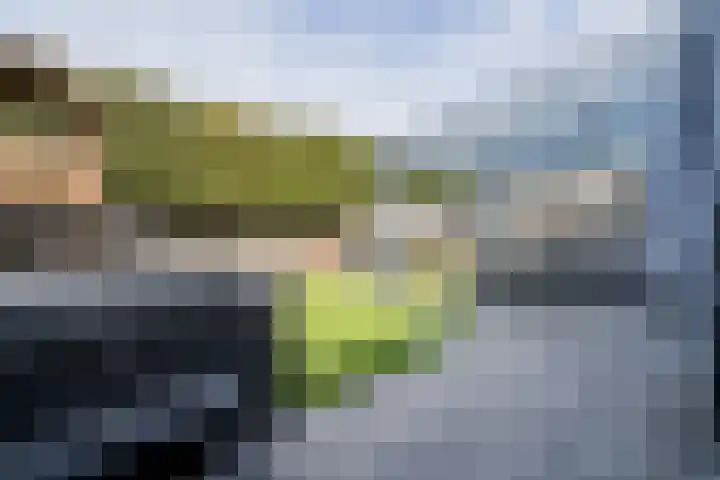 Korbeel 30 Weert thumbnail 42