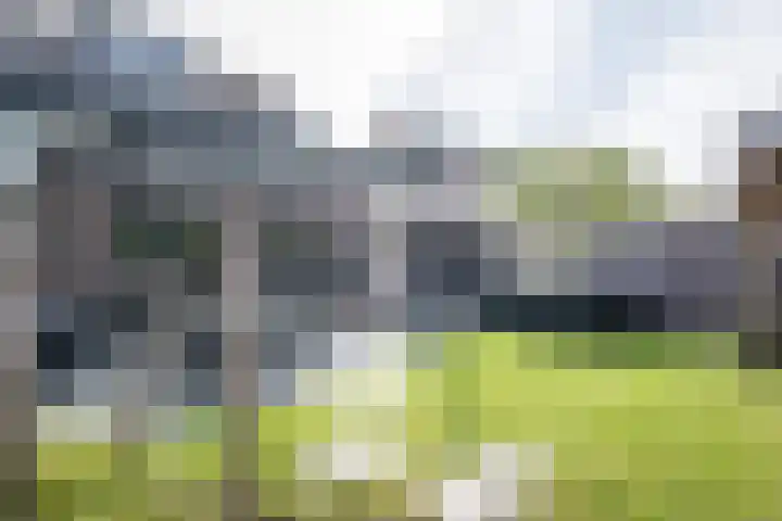 Korbeel 30 Weert thumbnail 43