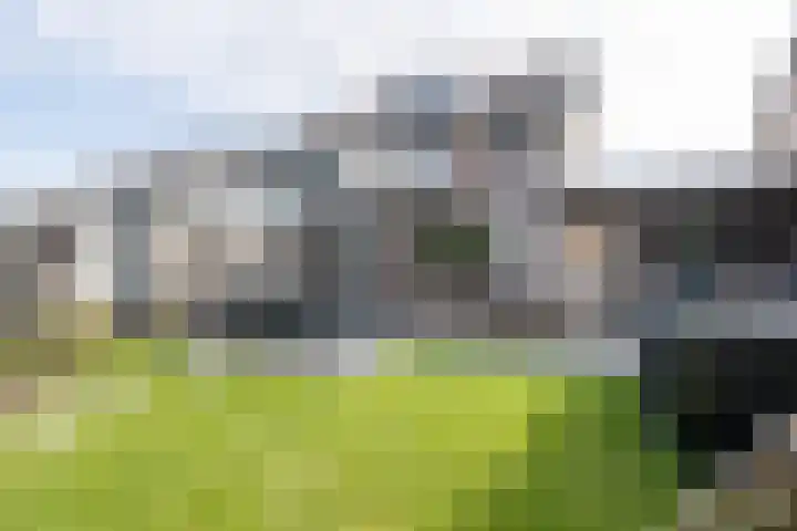 Korbeel 30 Weert thumbnail 44