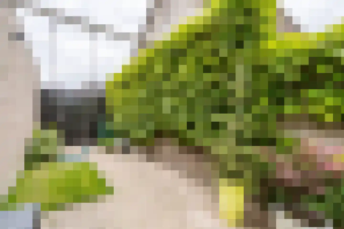 Korbeel 43 Weert thumbnail 49