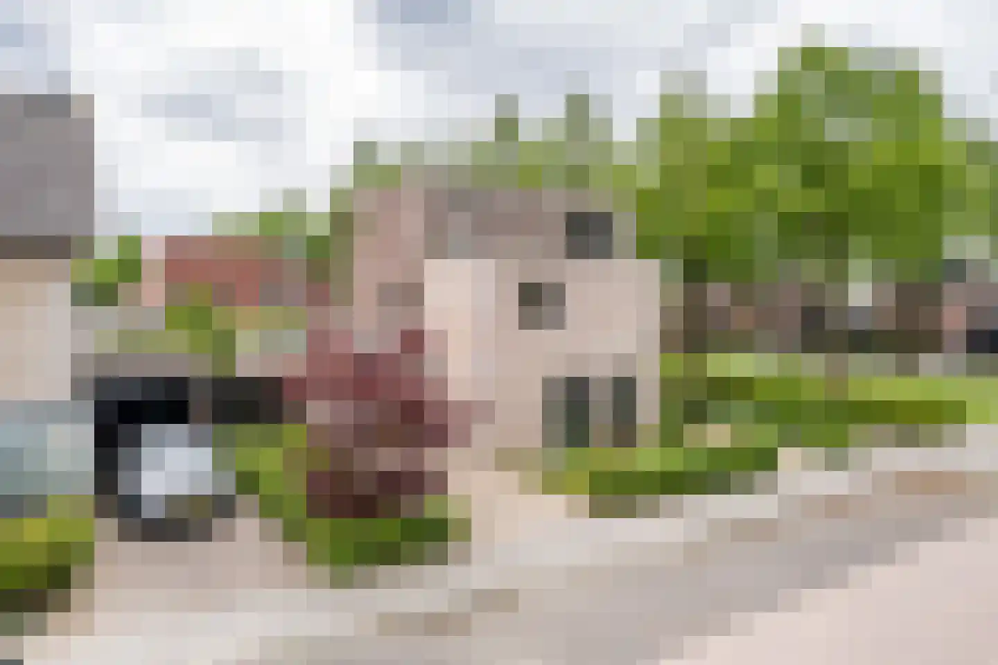 Korbeel 43 Weert thumbnail 53
