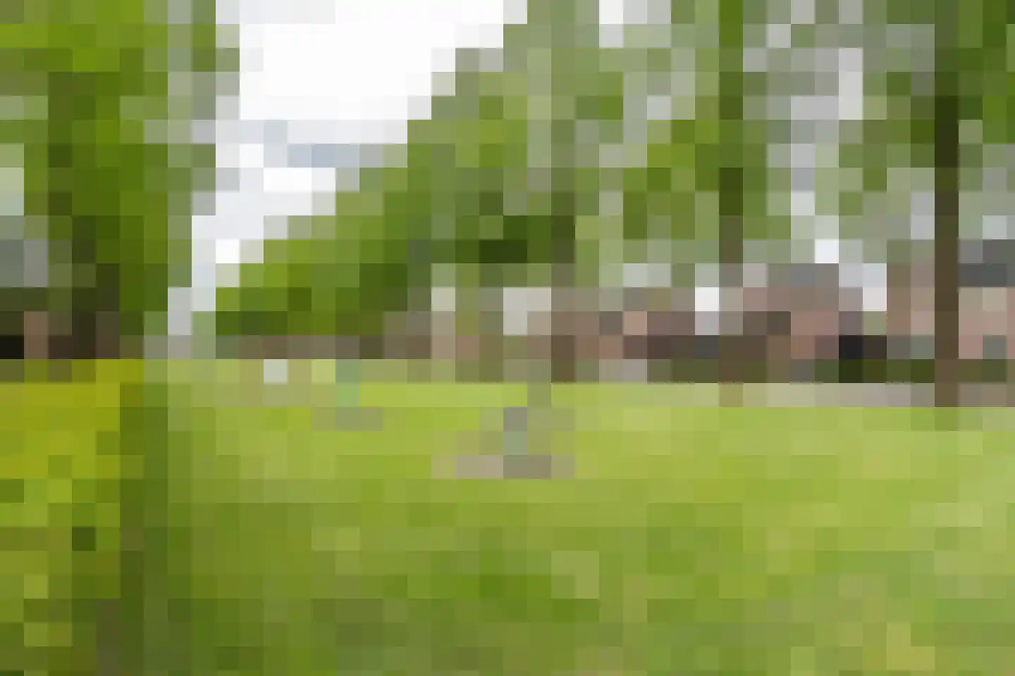Korbeel 43 Weert thumbnail 55