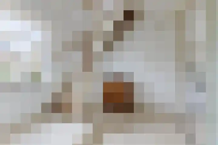 Korbeellaan 4 Heiloo thumbnail 11
