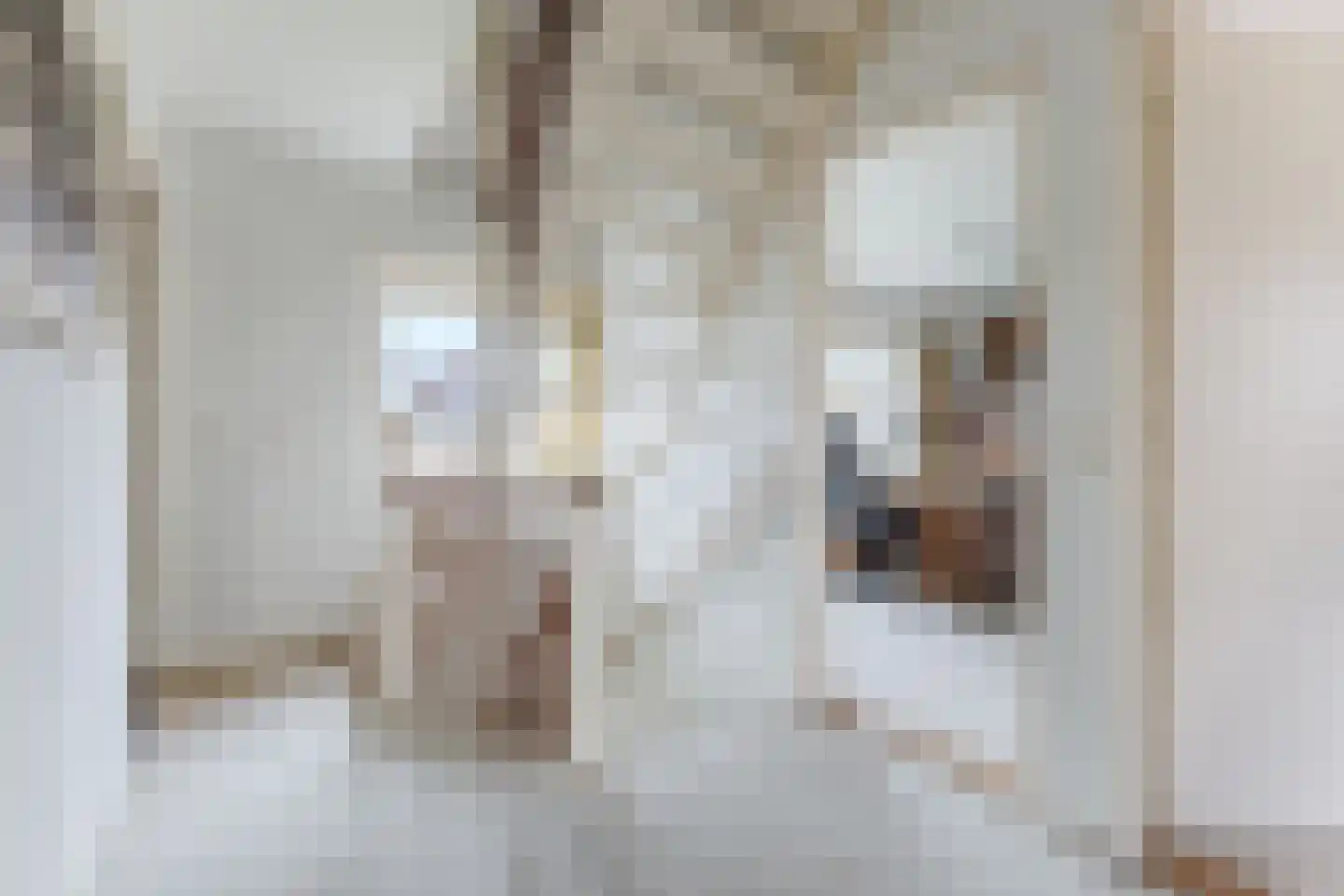 Korbeellaan 4 Heiloo thumbnail 12