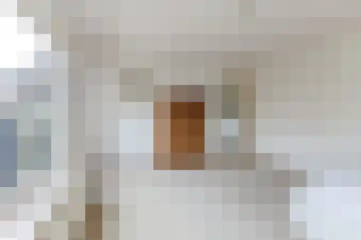 Korbeellaan 4 Heiloo thumbnail 15