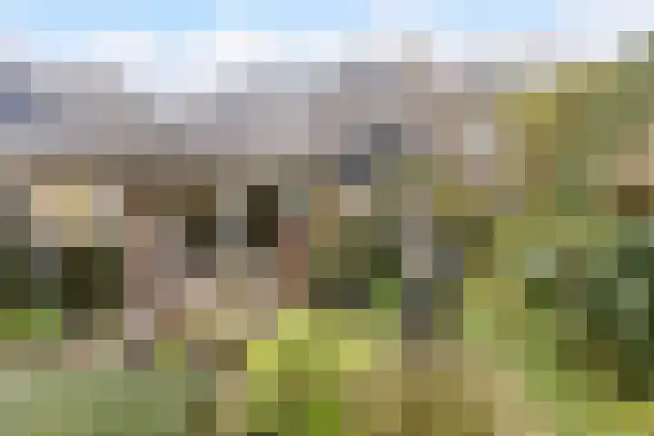 Korbeellaan 4 Heiloo thumbnail 25