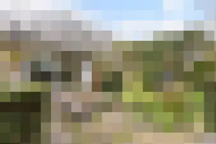 Korbeellaan 4 Heiloo thumbnail 26
