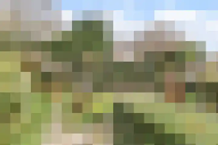 Korbeellaan 4 Heiloo thumbnail 27
