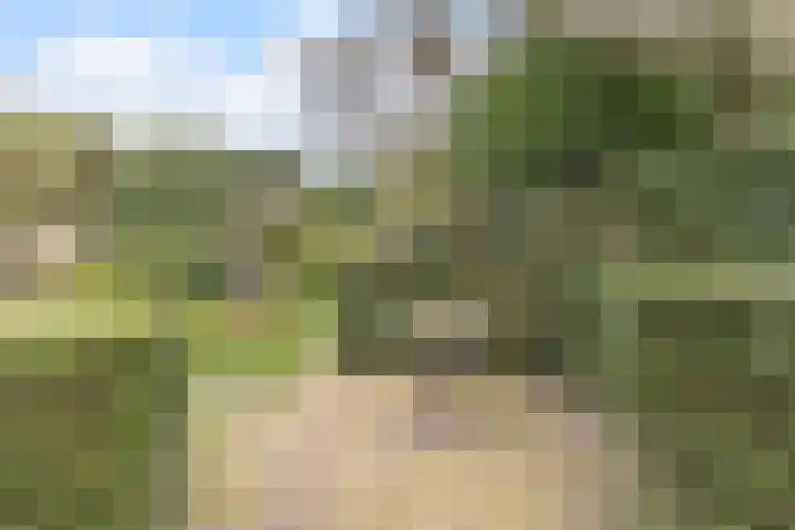 Korbeellaan 4 Heiloo thumbnail 28
