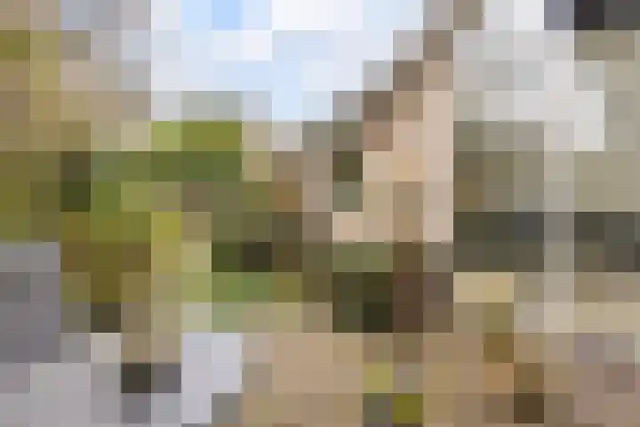 Korbeellaan 4 Heiloo thumbnail 29