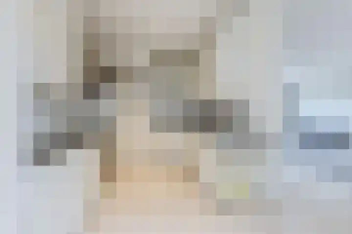 Korbeellaan 4 Heiloo thumbnail 4