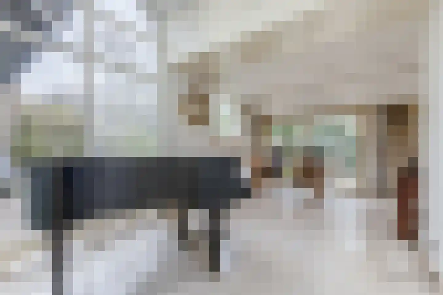 Korbeellaan 4 Heiloo thumbnail 6