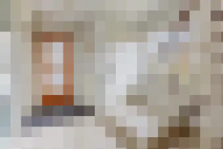 Korbeellaan 4 Heiloo thumbnail 9