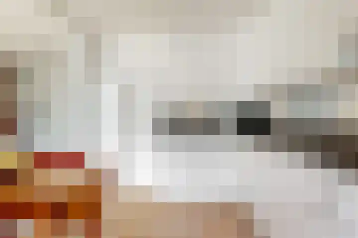 Korbeellaan 7 Heiloo thumbnail 17