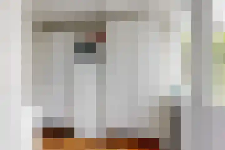 Korbeellaan 7 Heiloo thumbnail 18