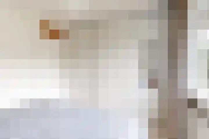 Korbeellaan 7 Heiloo thumbnail 23