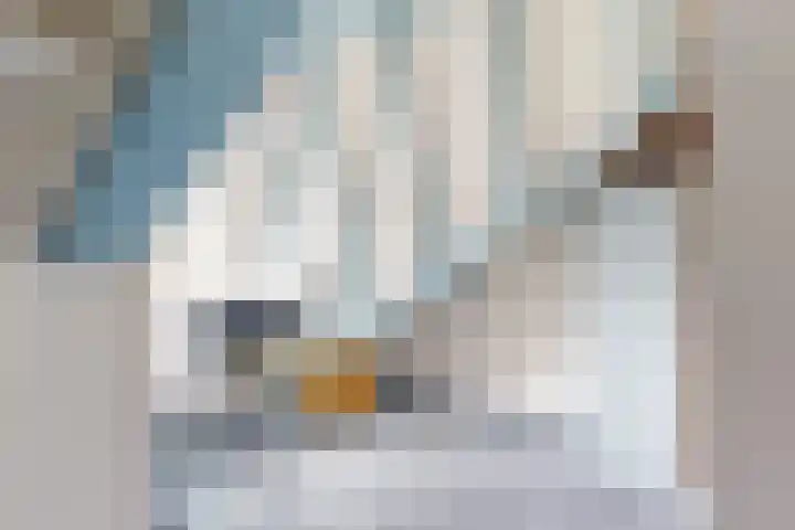 Korbeellaan 7 Heiloo thumbnail 45