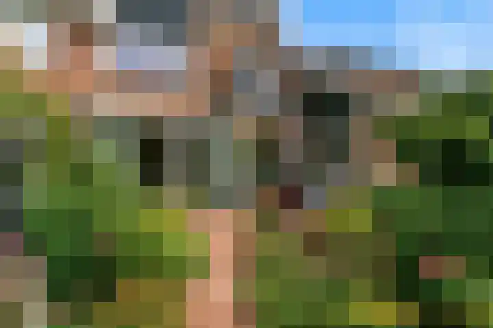 Korbeellaan 7 Heiloo thumbnail 51
