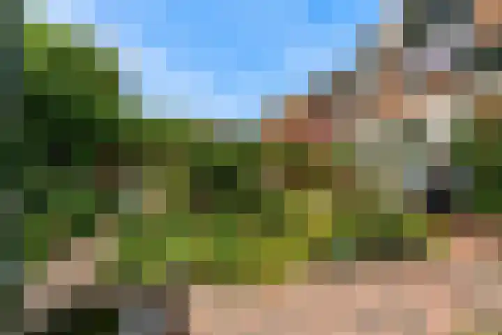 Korbeellaan 7 Heiloo thumbnail 52