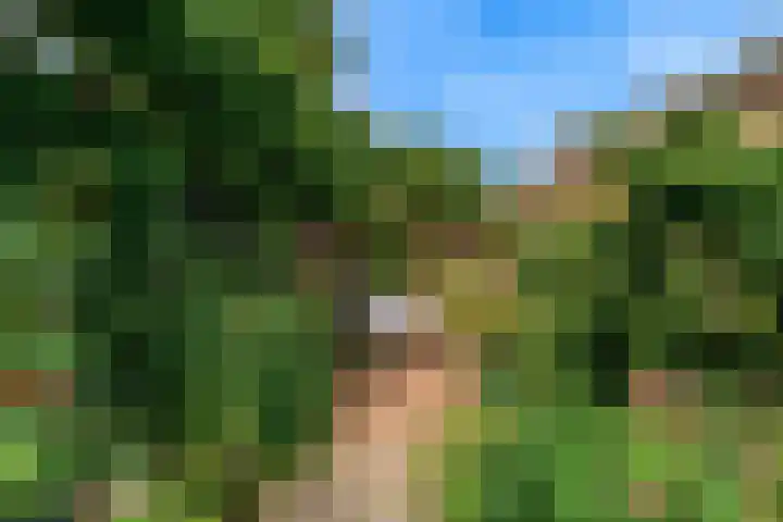Korbeellaan 7 Heiloo thumbnail 54