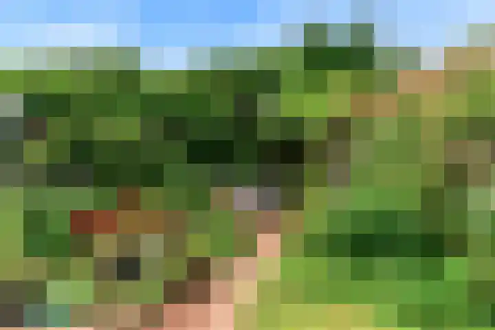 Korbeellaan 7 Heiloo thumbnail 55