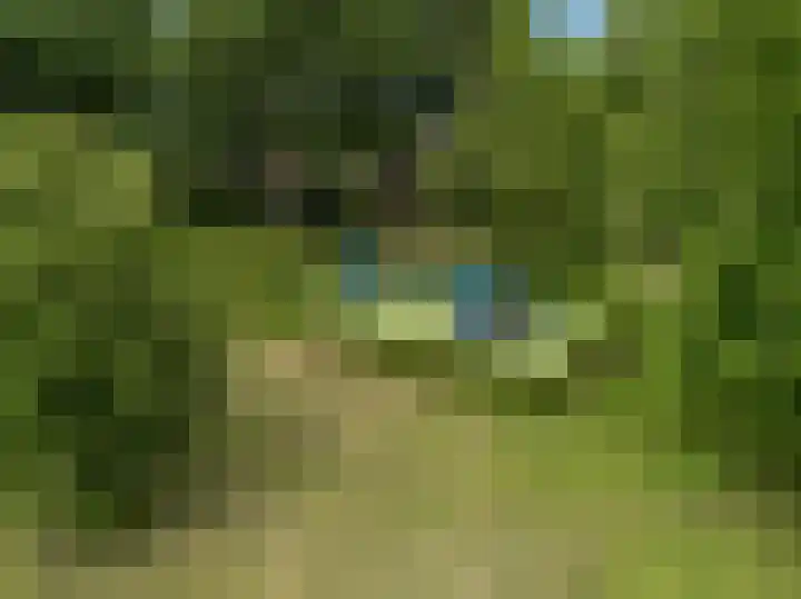 Korbeellaan 7 Heiloo thumbnail 57