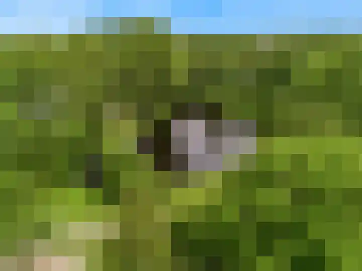 Korbeellaan 7 Heiloo thumbnail 58