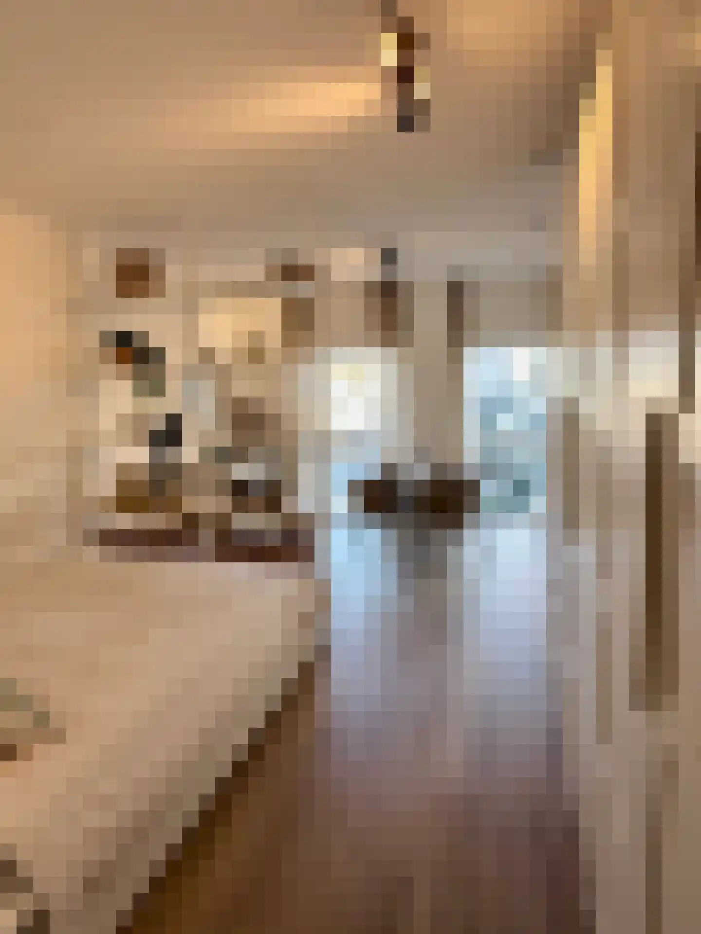 Korbootstraat 43 K Den Haag thumbnail 10
