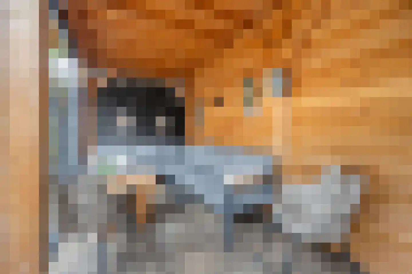 Kordiastraat 13 Kerkdriel thumbnail 28