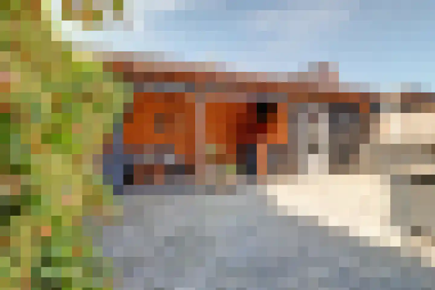 Kordiastraat 13 Kerkdriel thumbnail 28
