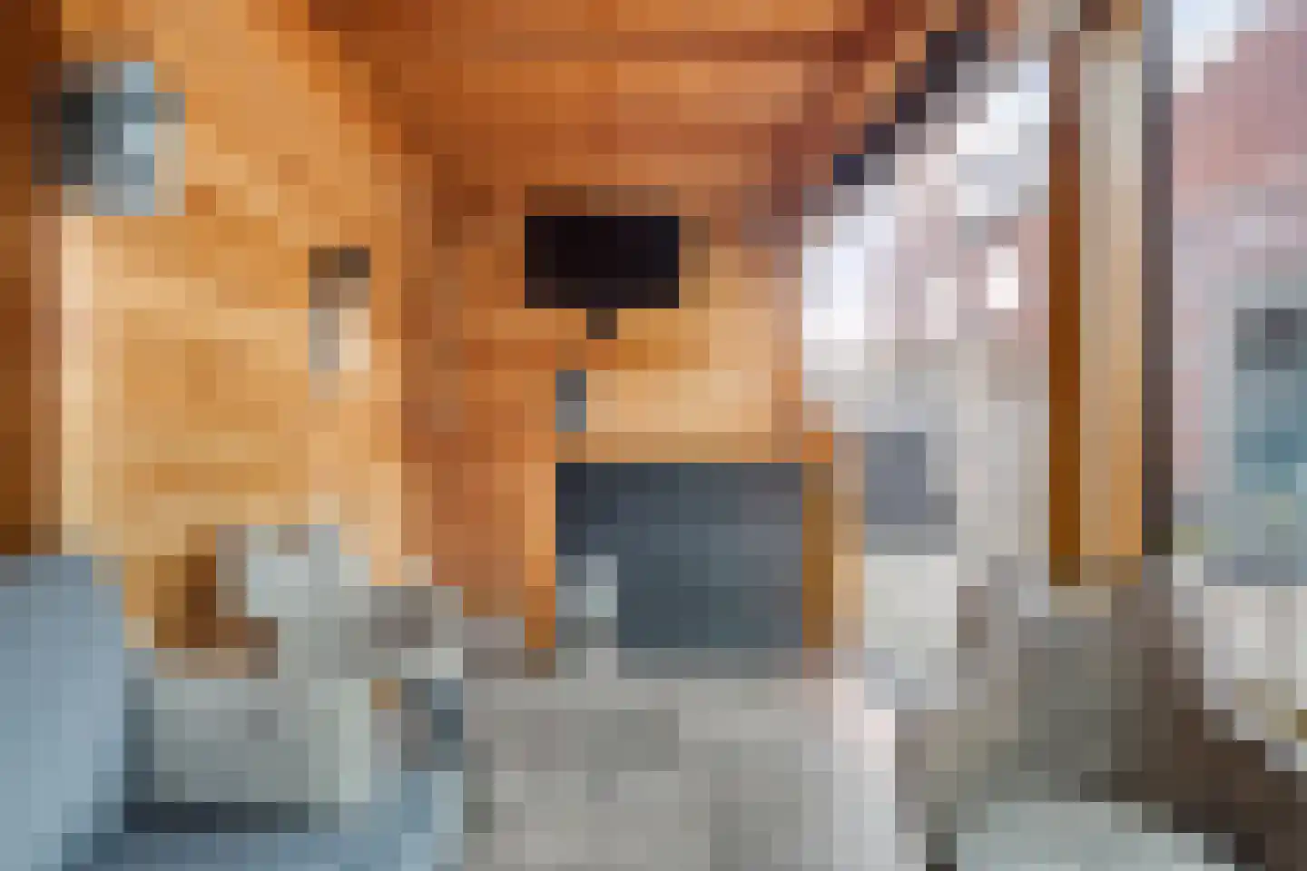 Kordiastraat 13 Kerkdriel thumbnail 29