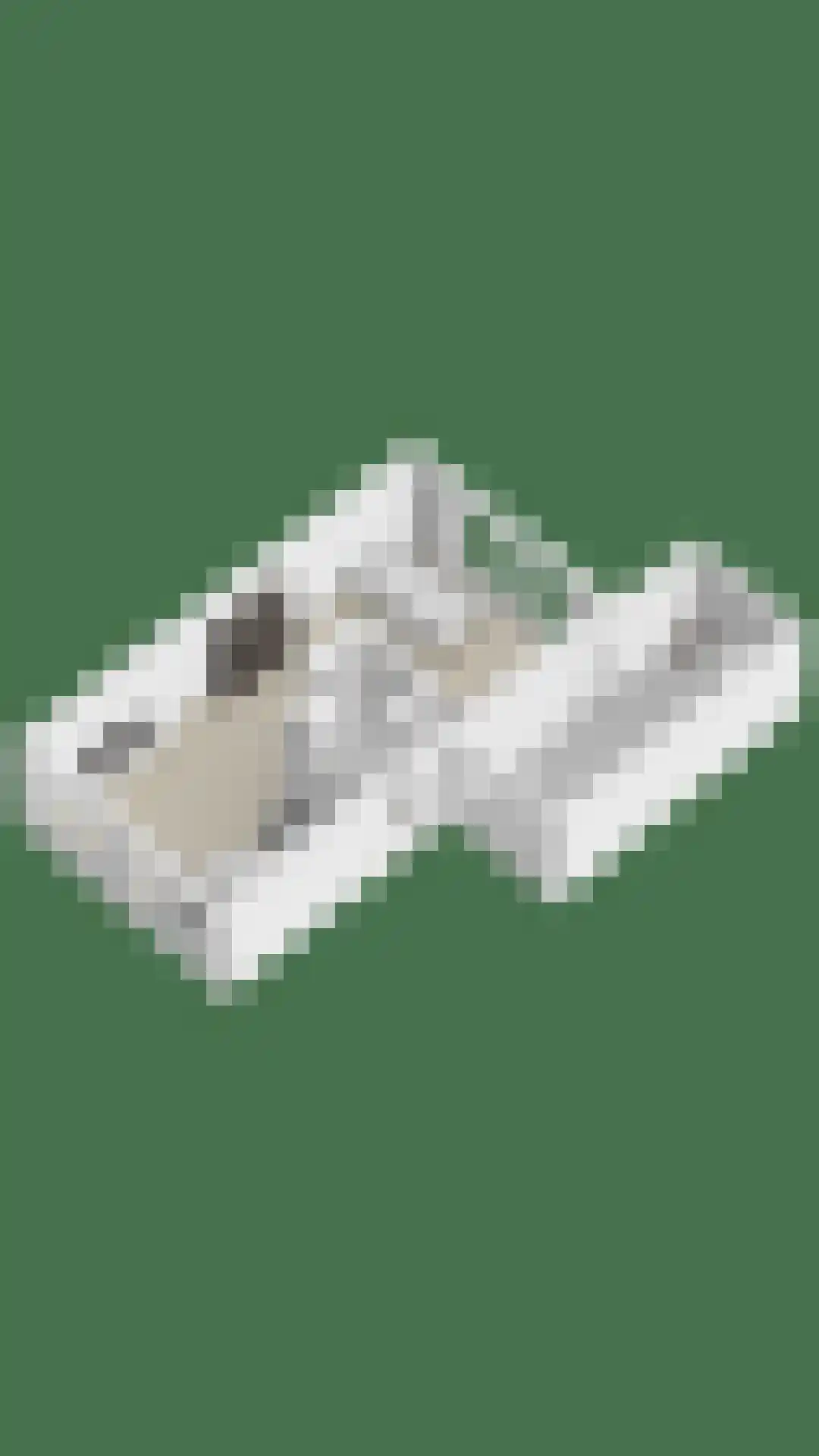 Kordiastraat 13 Kerkdriel thumbnail 41