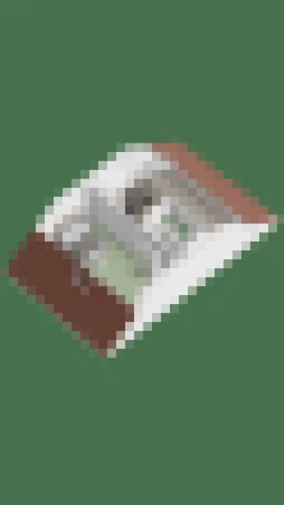Kordiastraat 13 Kerkdriel thumbnail 43