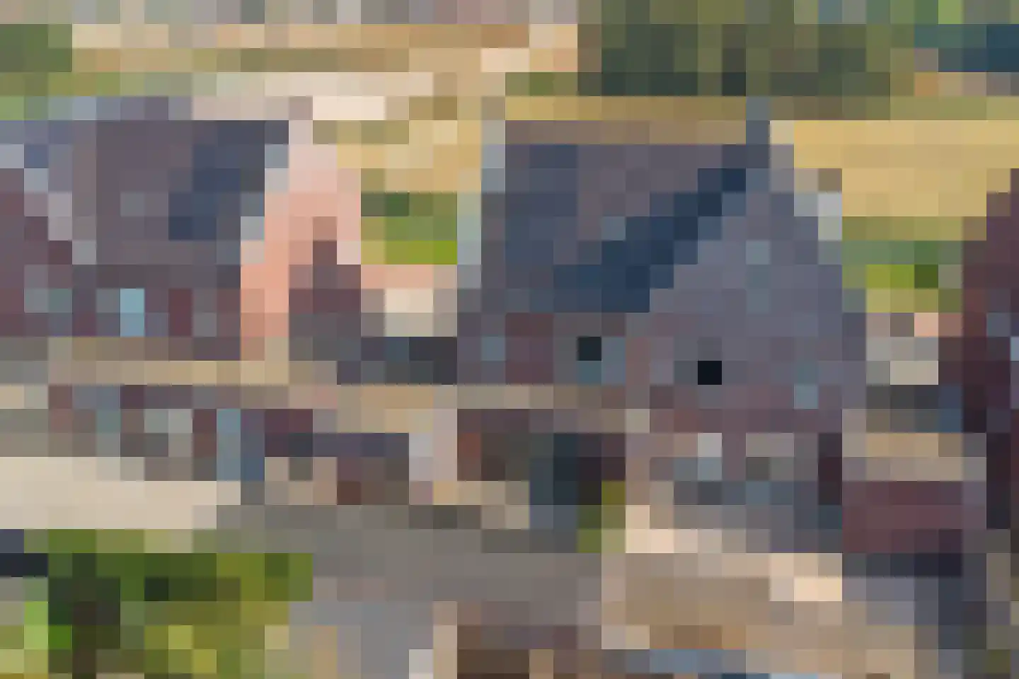 Kordiastraat 13 Kerkdriel thumbnail 46