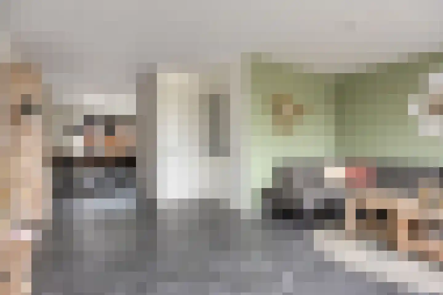 Kordiastraat 13 Kerkdriel thumbnail 5