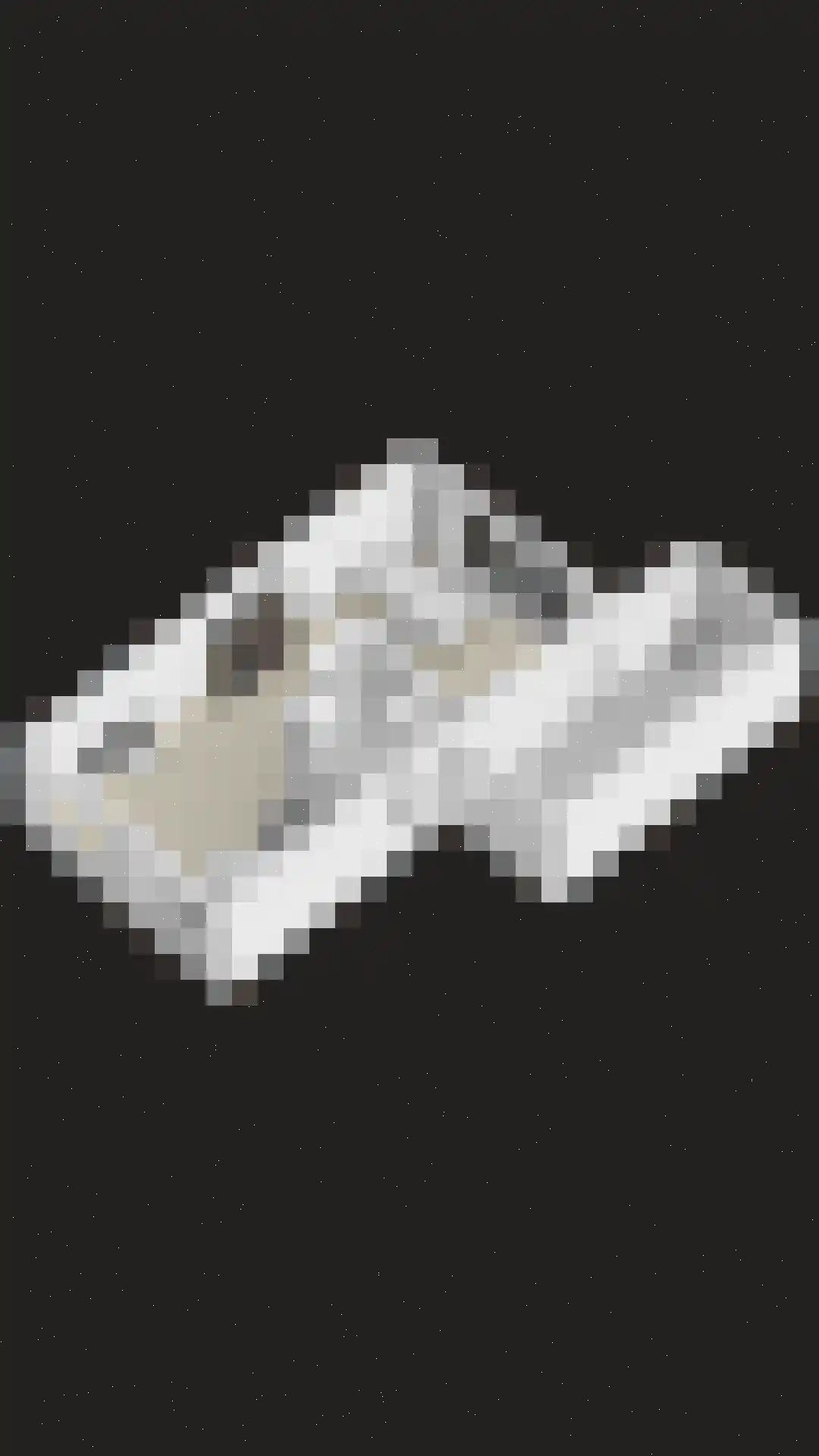 Kordiastraat 13 Kerkdriel thumbnail 52