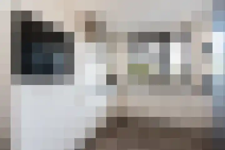 Kordiastraat 3 Kerkdriel thumbnail 13