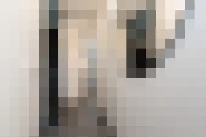 Kordiastraat 3 Kerkdriel thumbnail 20