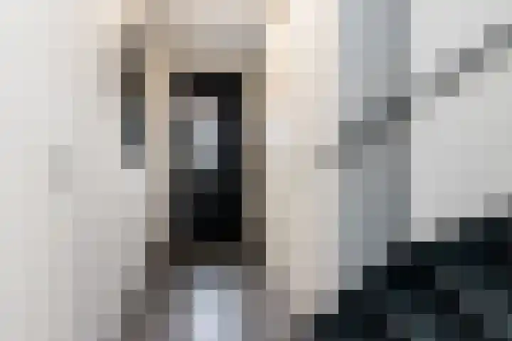 Kordiastraat 3 Kerkdriel thumbnail 22