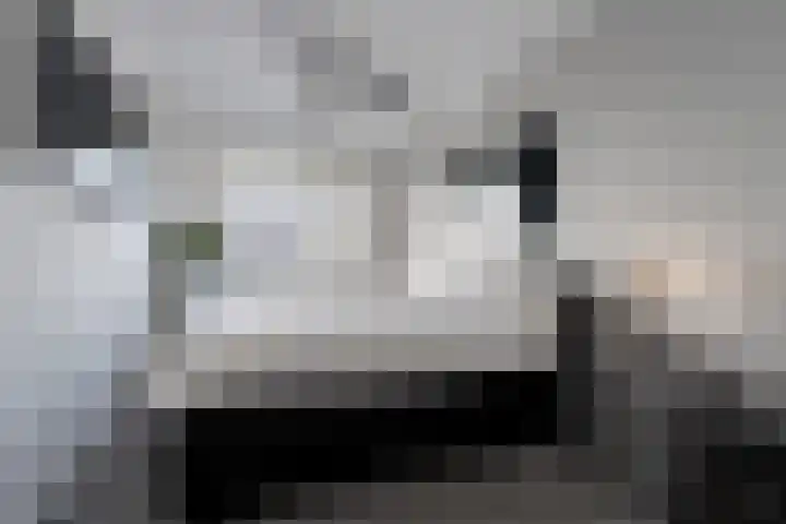 Kordiastraat 3 Kerkdriel thumbnail 25