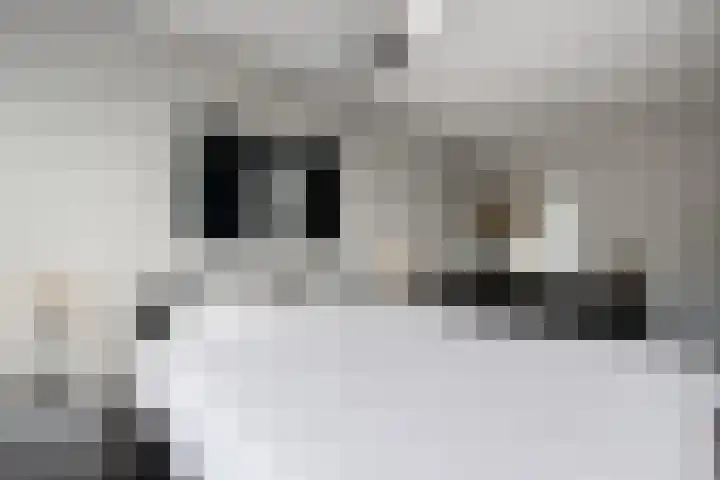 Kordiastraat 3 Kerkdriel thumbnail 26