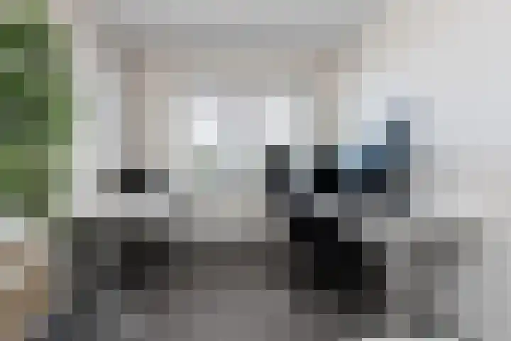 Kordiastraat 3 Kerkdriel thumbnail 28