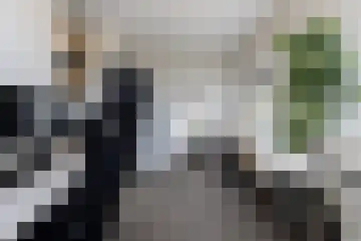 Kordiastraat 3 Kerkdriel thumbnail 29
