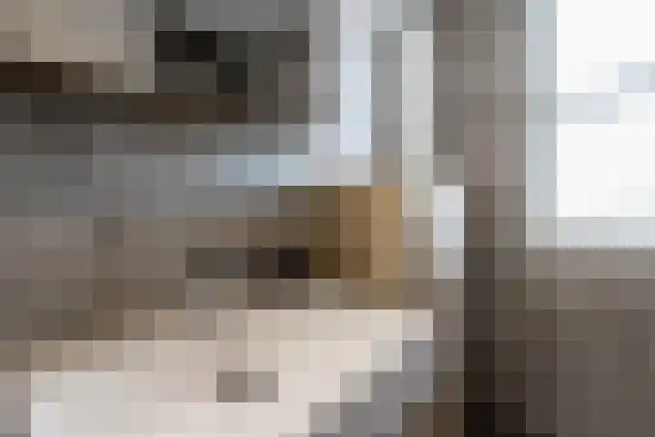 Kordiastraat 3 Kerkdriel thumbnail 34