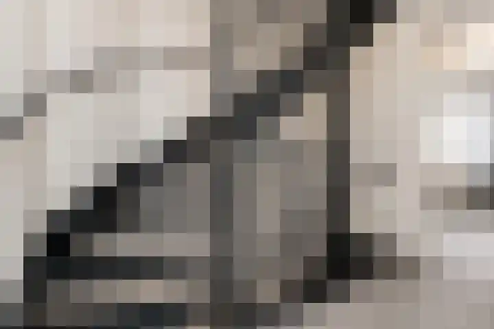 Kordiastraat 3 Kerkdriel thumbnail 35