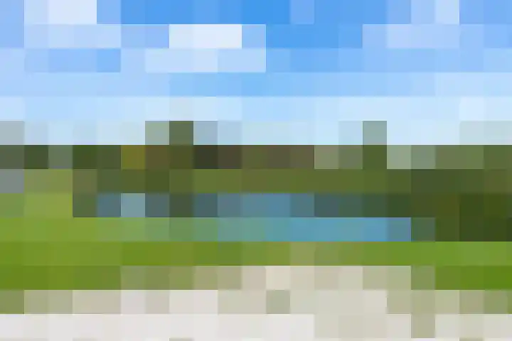 Kordiastraat 3 Kerkdriel thumbnail 51